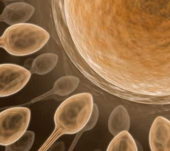 starts with conception