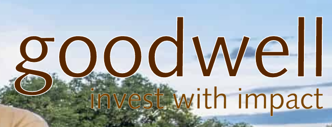 Goodwell Investments