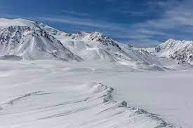Tundra is veey cold and no trees can grow. Polar bears and reindeers all live in the Tundra.