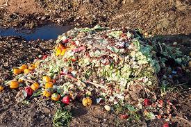 Agriculture waste and biproducts (manure)