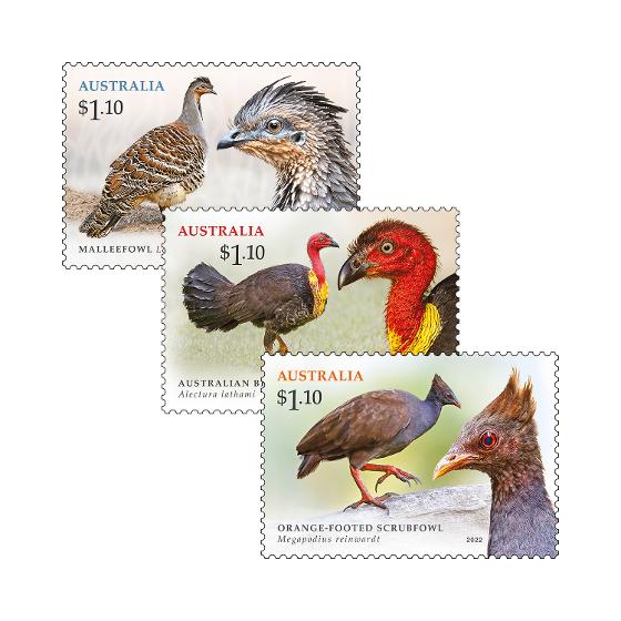 Megapodes