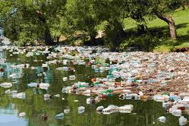 What can be done to limit the negative effects to the environment that are caused by bottled water?