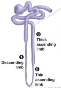 Descending vs Ascending