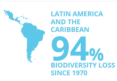 This biodiversity loss has been increasing every year since 1970, With a massive increase theses past decades, mainly from 19