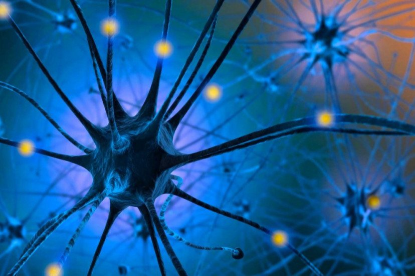 SEROTONINA O HIDROXITRIPTAMINA (5 -HT): Controla todo lo que sucede en nuestro cuerpo, desde lo físico hasta lo emocional.