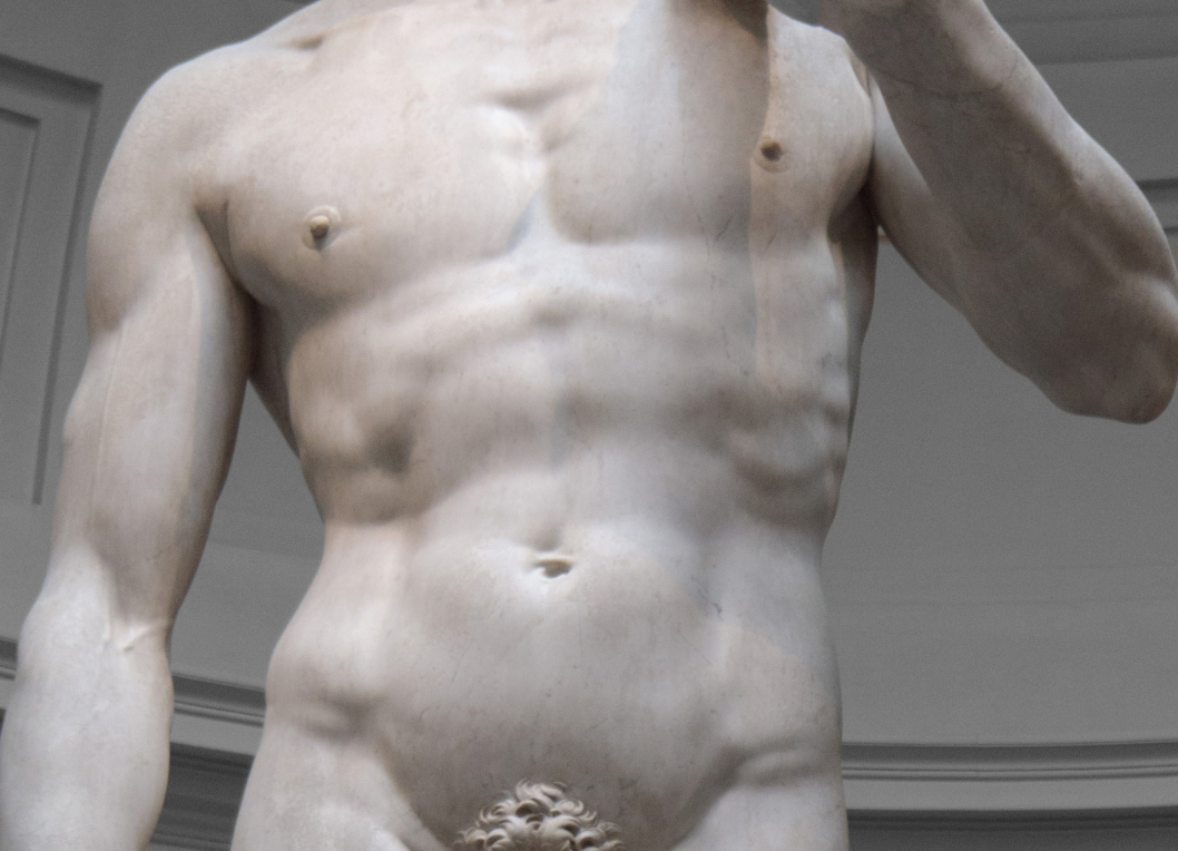 tutti i suoi muscoli sono definiti ed ogni fibra del suo corpo è pronta per dare il massimo e lanciarsi nel combattimento ed 