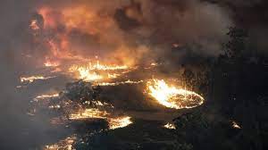 46 million acres of land scorched from wlidfire