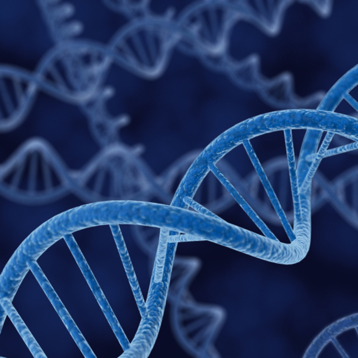genetic factors
