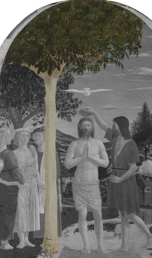 L'albero è un noce (riferimento all'antico nome di San Sepolcro). Questo forma una sorta di cupola entro il quale è presente 