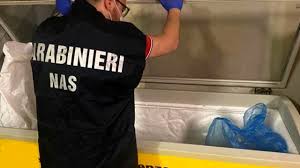 MISSIONE DEI NAS