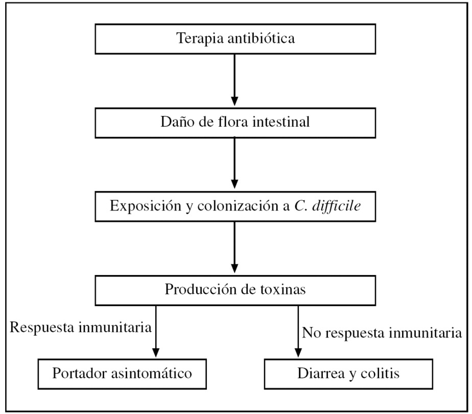 Tratamiento farmacológico