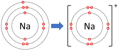 Cation: metals lose electrons