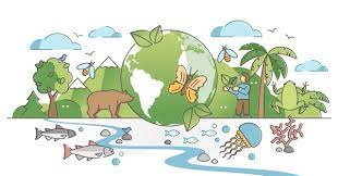 Promotes and advances biodiversity; Organic cotton is proven to produce 94% less of greenhouse gasses than harvested cotton. 