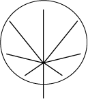 Nervation palmée