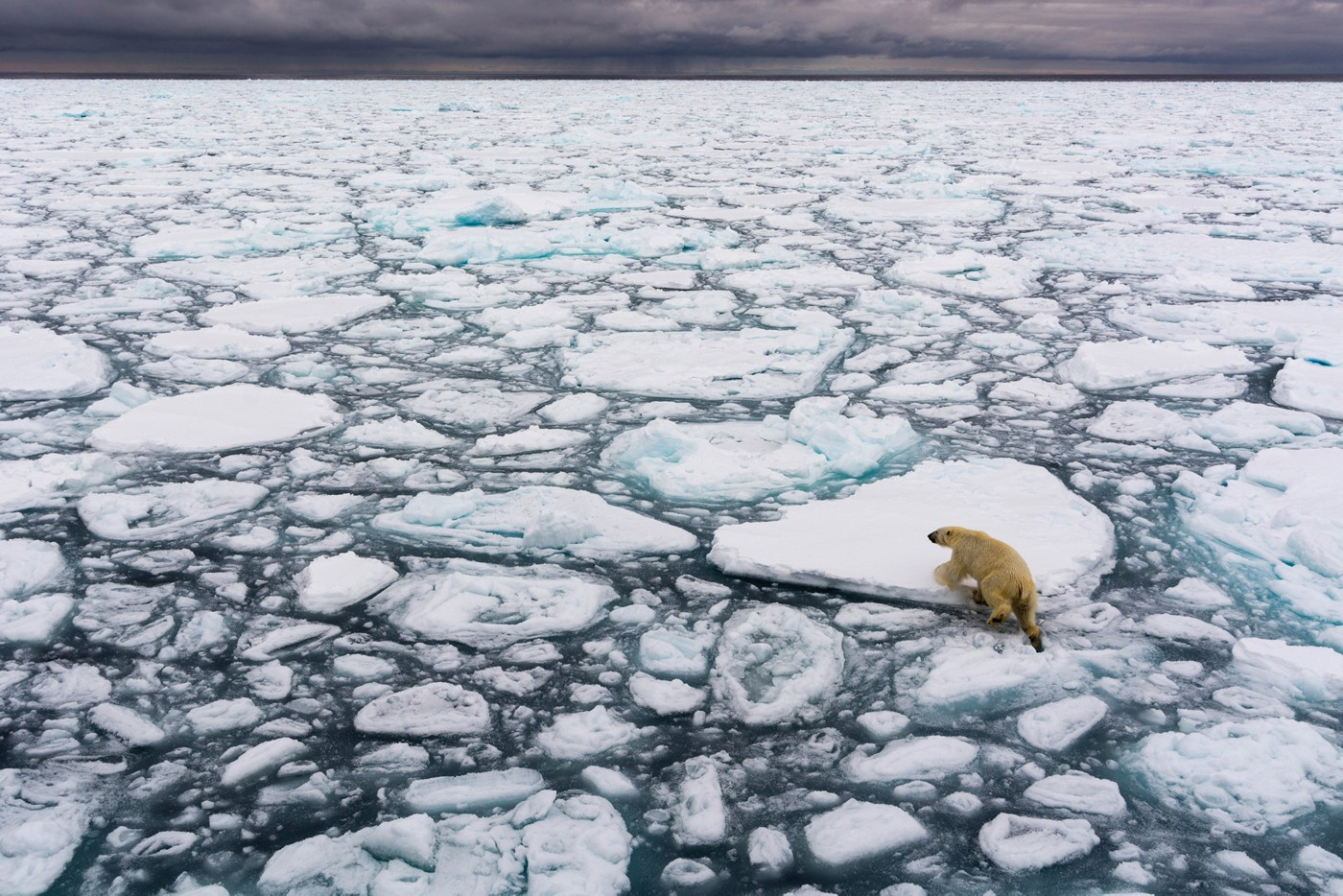 Land destruction  through pollution and climate change.