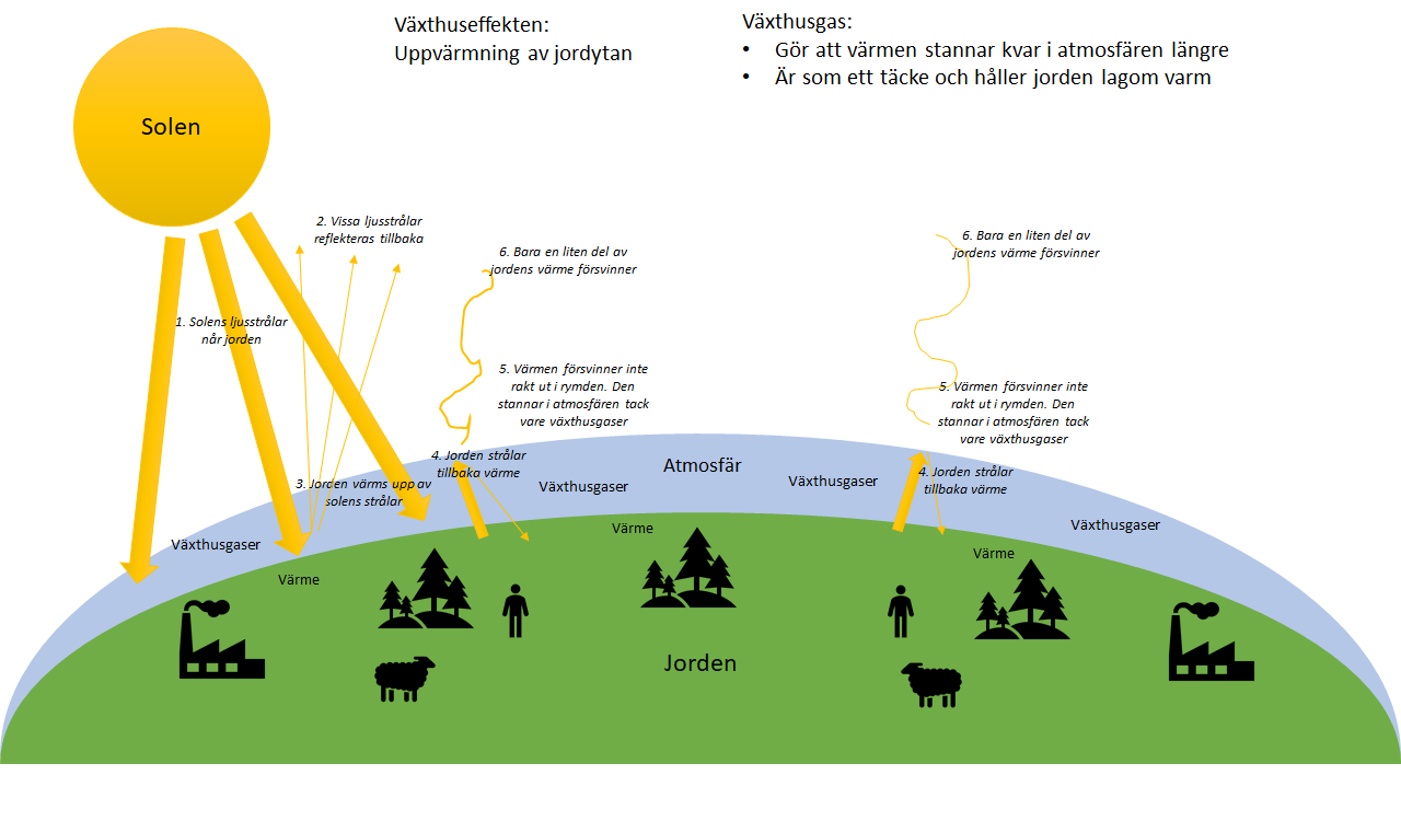 Växthuseffekten