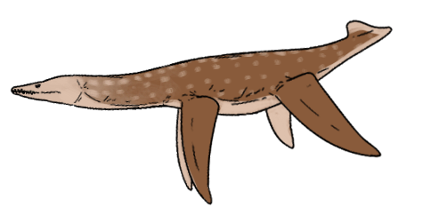 Leptocleidus capensis