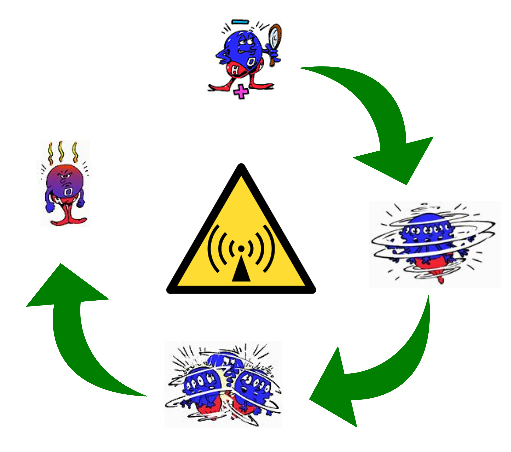 CORPO  UMANO=CARICHE ELETTRICHE
