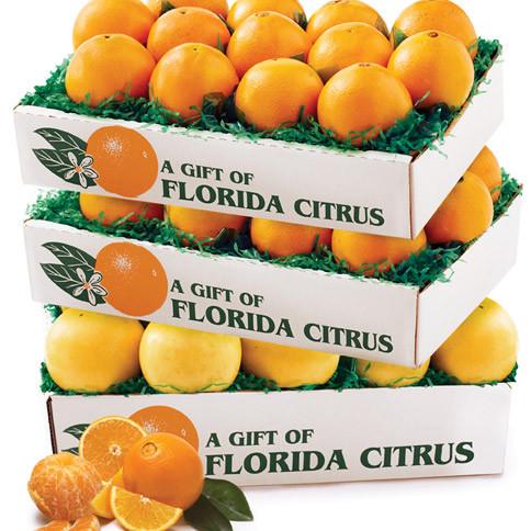 Fruits in Canada