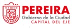 Funciones Directivos
