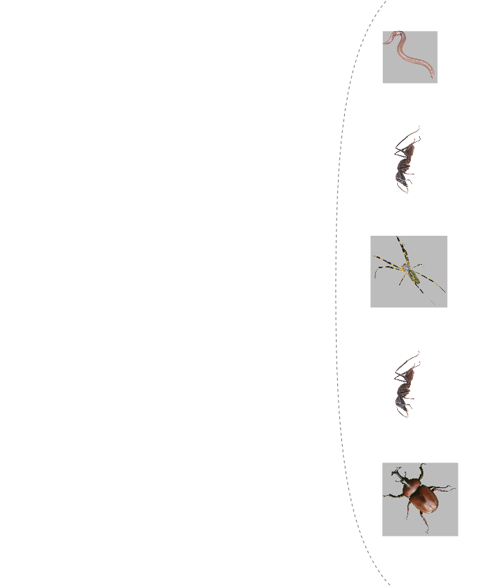 (아트스토리)봄동산 꾸미기
