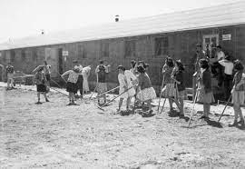 Japanese Interment
Camps
