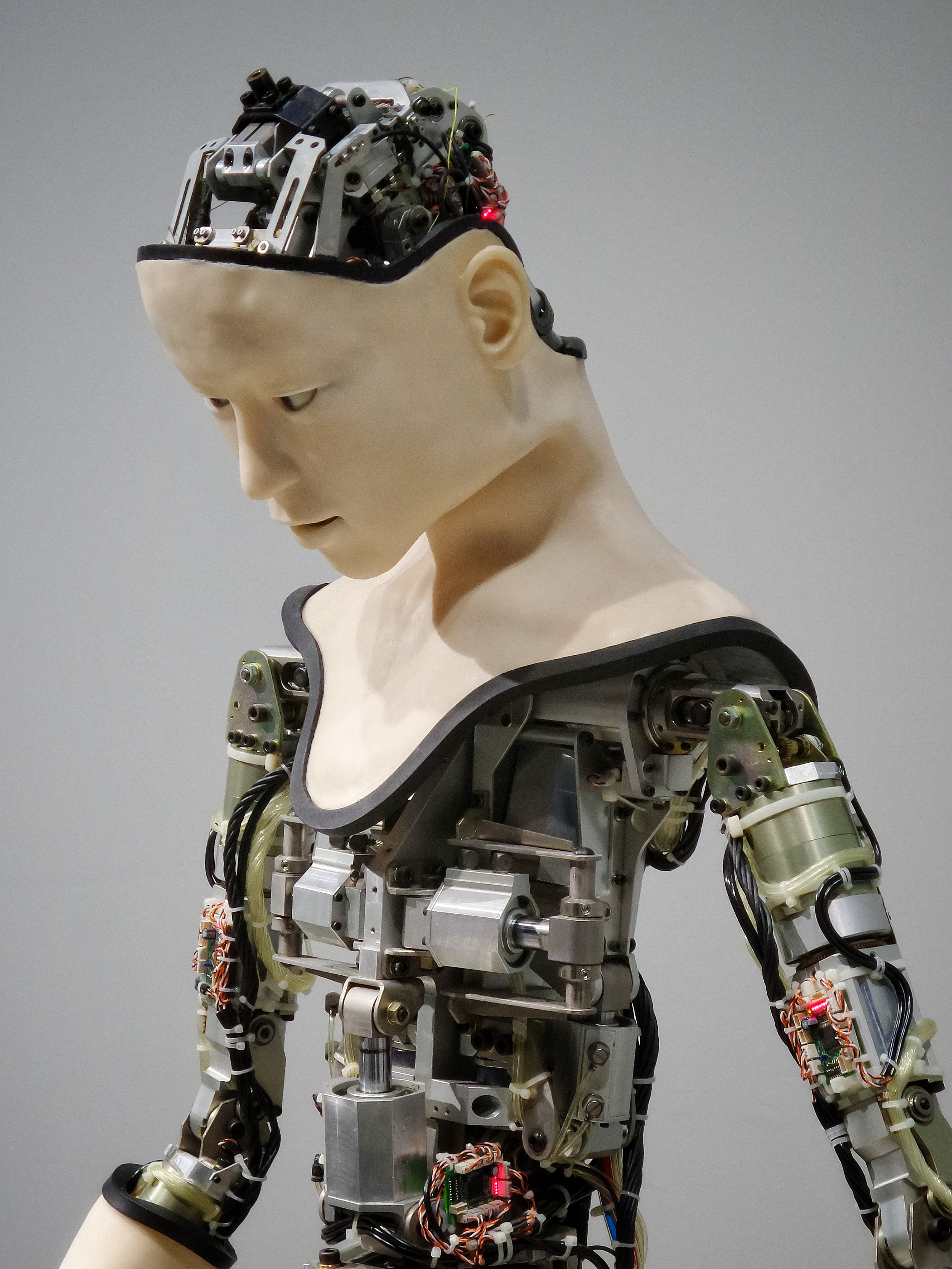 CAREERS IN HIGH RISK OF ARTIFICIAL INTELLIGENCE
