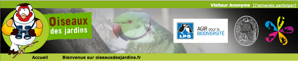 Observatoire participatif "Oiseaux des Jardins"