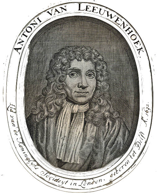 Antoni van Leeuwenhoek