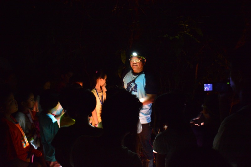 夜觀
