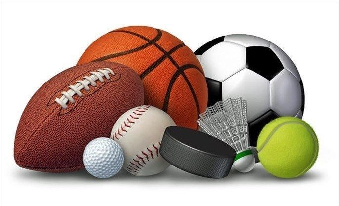 Enjoys watching sports