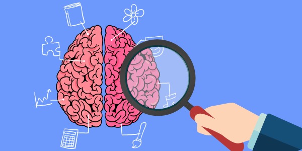 Estructura cognitiva del individuo