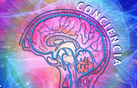 Evolución de la conciencia