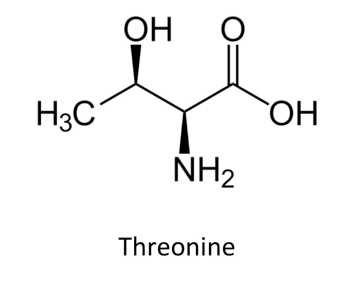 Threonine