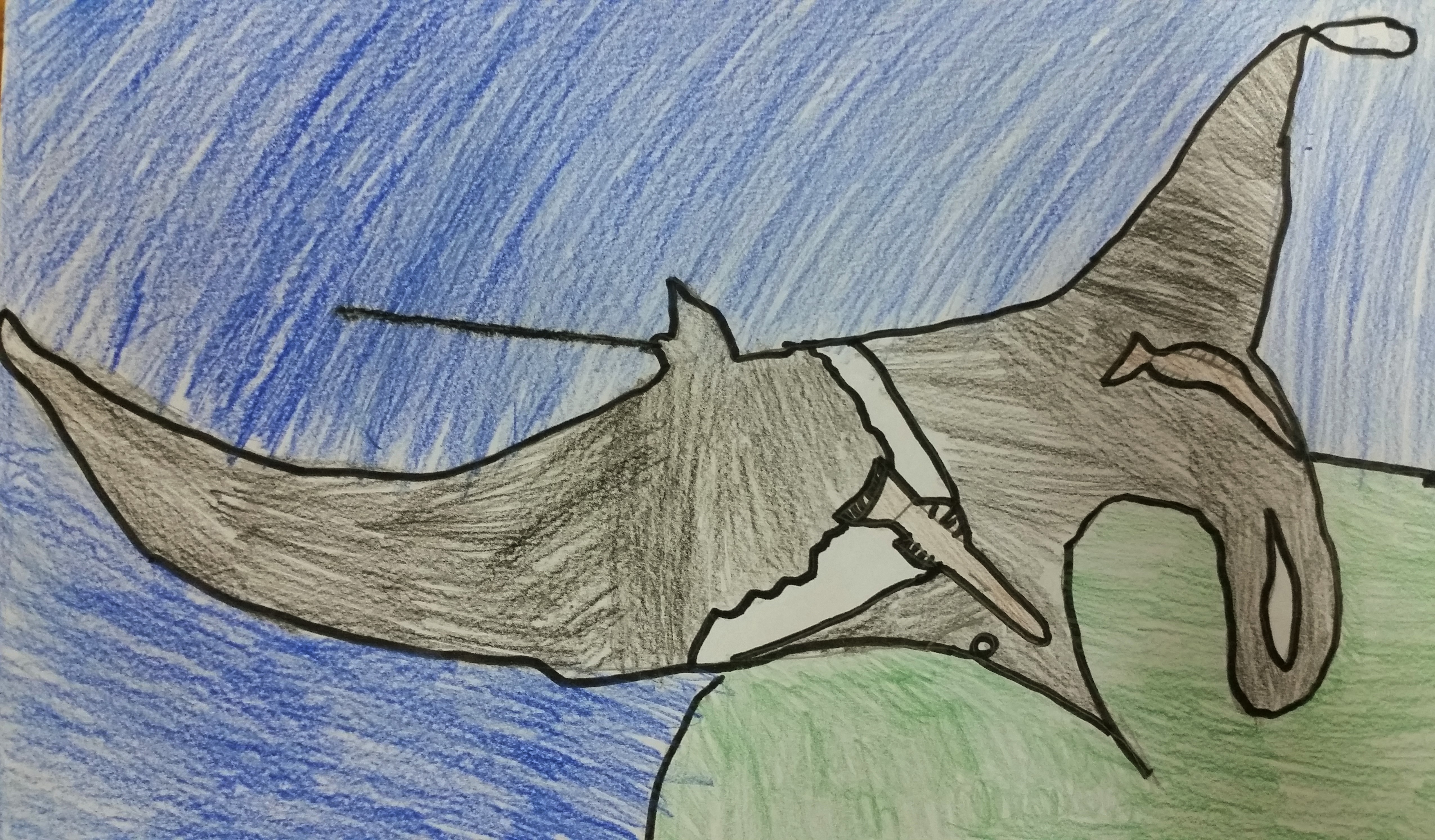 MANTA