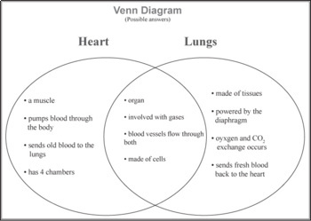 Ven diagram