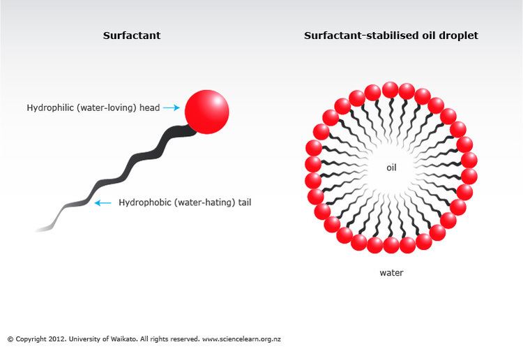 Surfactant: a compound with a non-polar "tail" and a polar "head" that can reduce the surface tension of a solvent.