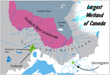 arcitc lowlands