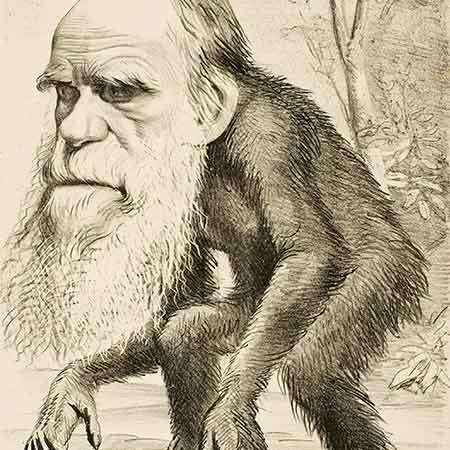 Principles of Darwinism