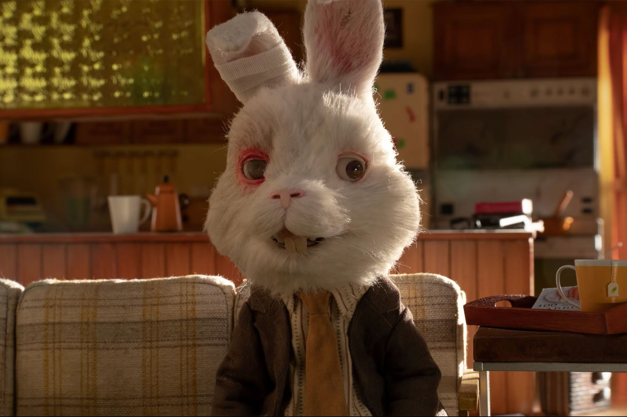 Instagram sensation video ralph the rabit, put 
a spotlight on the harsh reality of clinical trials
involving animals (abioti