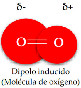 Se dan cuando un ion se aproxima a un dipolo o a una molécula apolar, ocasionando que esta última se comporte como un dipolo 