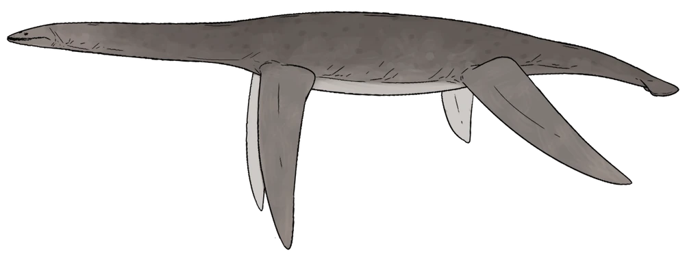Aristonectes parvidens