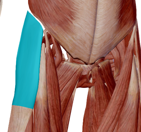 Tensor de la fascia lata