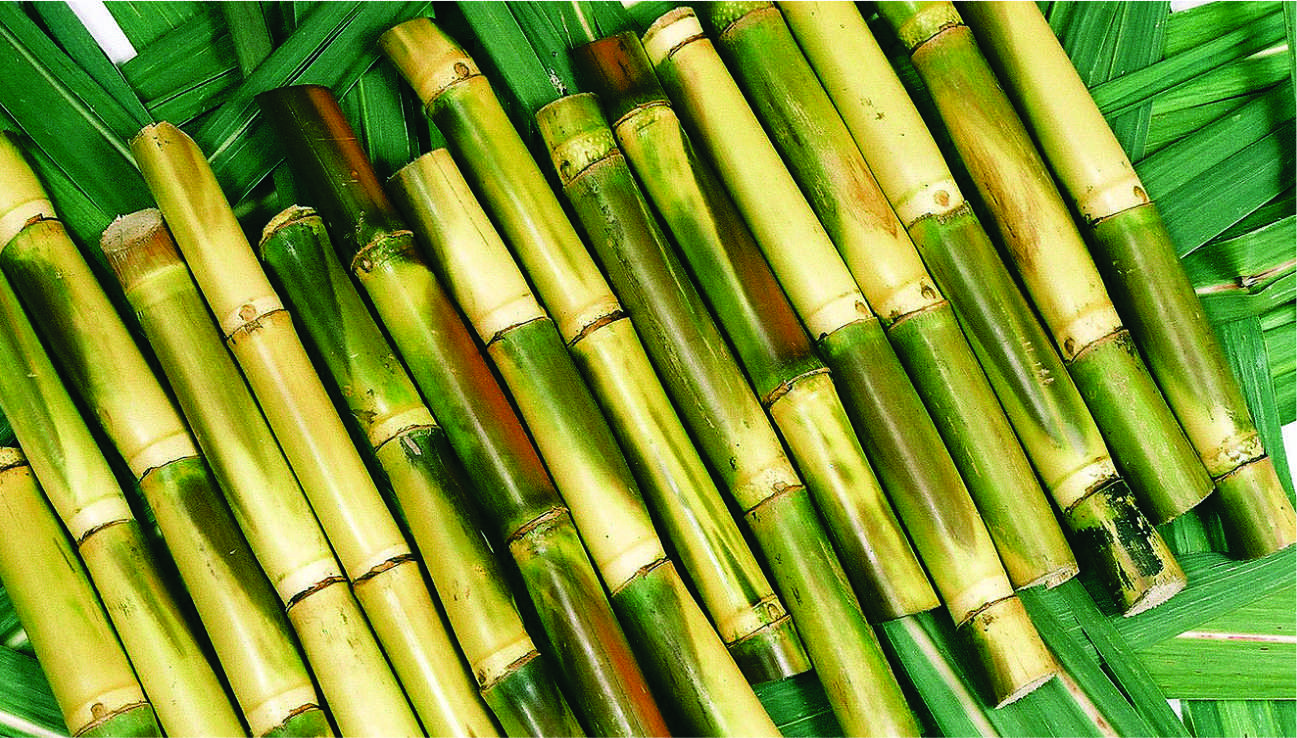 Ingredients: are raw materials that go into a product eg. sugar cane that is used to make refined sugar