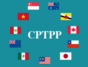 CPTPP(The Comprehensive and Progressive Agreement for Trans-Pacific Partnership)