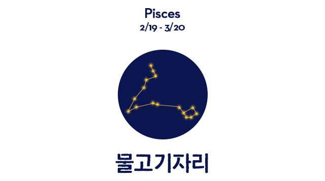 물고기자리