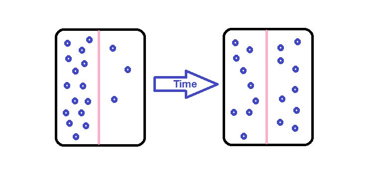 movement of molecules from an area of high concentration to an area of low concentration