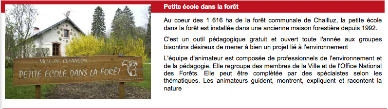 Petite école dans la forêt