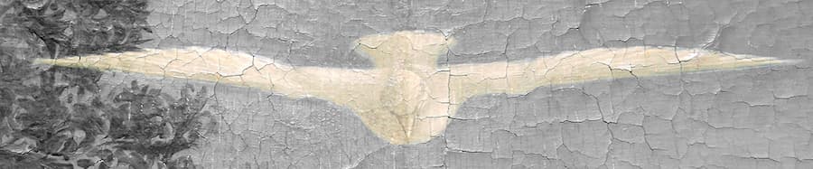 LA COLOMBA rappresenta lo spirito Santo