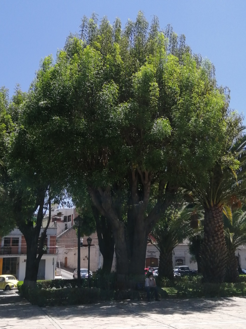 Fresno